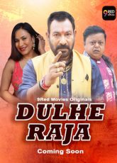 Dulhe Raja 9RedMovies Hot Web Series