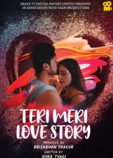 Teri Meri Love Story ImaxxTV Hot Web Series