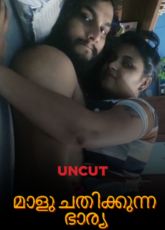 Mallu Cheating Wife Uncut WebSeries