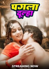 Pagla Dulha Uncut Fugi Web Series